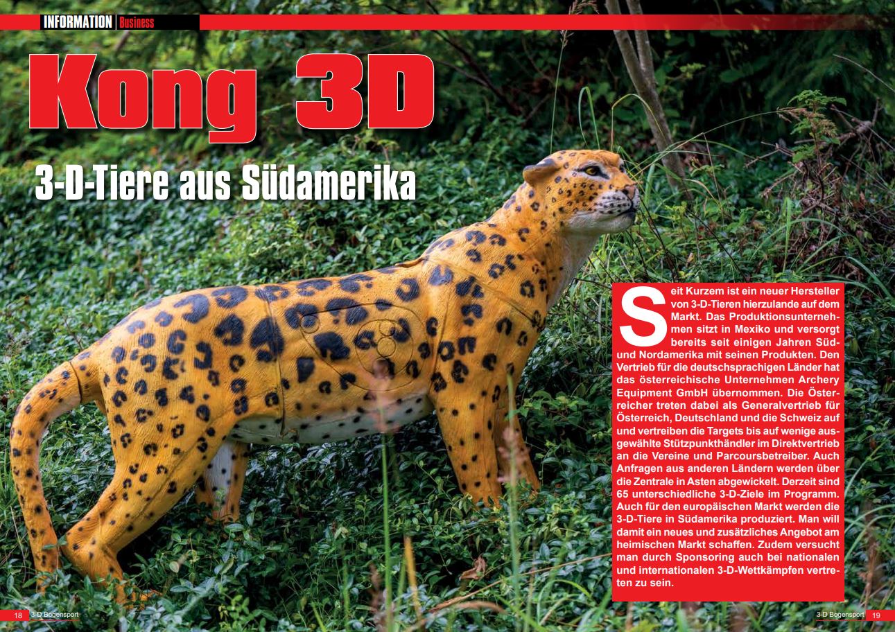 Bericht 3D Kong