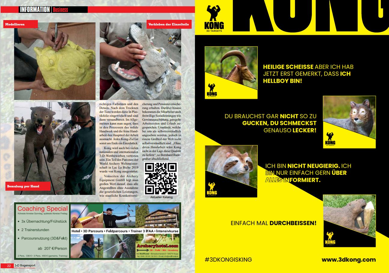Bericht 3D Kong