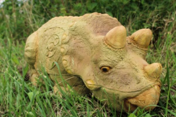 Triceratops Baby – Bild 6