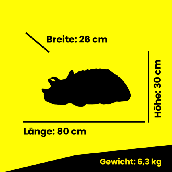 Triceratops Baby – Bild 3