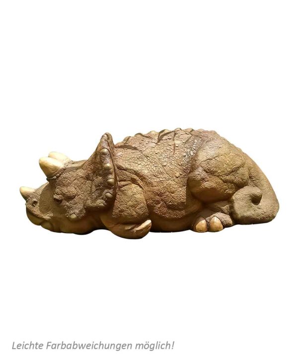 Triceratops Baby